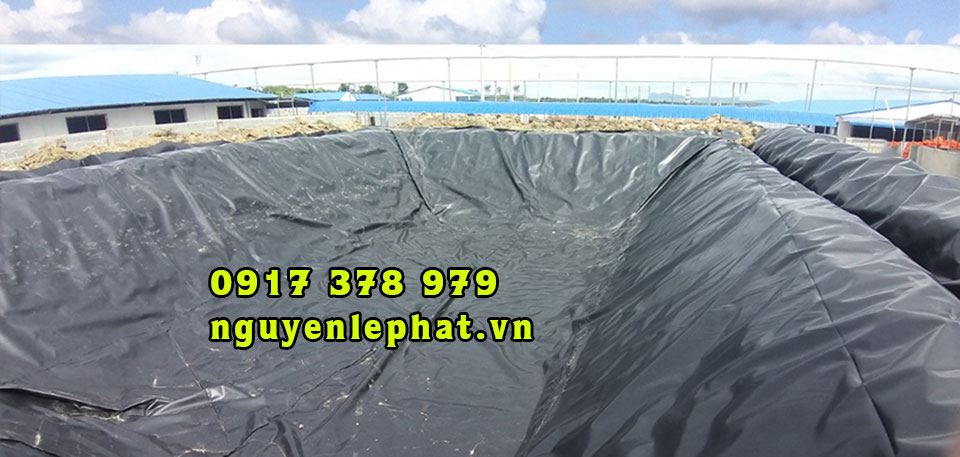 Bạt Nhựa HDPE Lót Ao Hồ Nước Nuôi Cá Vũng Tàu