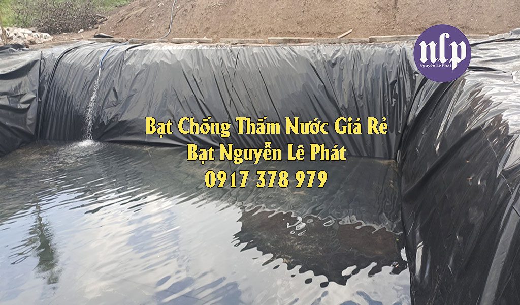 Bạt Lót Ao Hồ Chứa Nước, Nuôi Cá Cẩm Mỹ