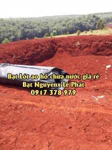 Cách Làm Hồ Trữ Nước Tưới Cây Hệ Thống Tưới Tiêu Bàng Bạt