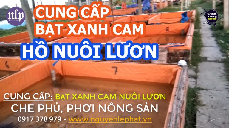 Bạt Xanh Cam Khổ 6M Che Phủ Công Trình Đồng Tháp, Bạt Xanh Cam Lót Hồ Nuôi Tôm Tiền Giang