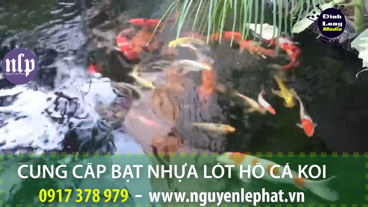 Bạt Lót Hồ Chứa Nước Nuôi Cá Nuôi Lươn Tại Quận 7 Nhà Bè TPHCM Bạt lót bể cá, hồ cá HDPE 0,5mm - Bạt nhựa HDPE, bạt nhựa lót hồ cá, bạt lót ao , bạt nhựa HDPE lót hồ cá KOI dạng Thiết kế hồ cá koiThi công sân vườn Cải tạo hồ cá koi = Hồ Cá Koi Sân Vườn Theo Mẫu | Nhiều Mẫu Mã Cho Gia Chủ