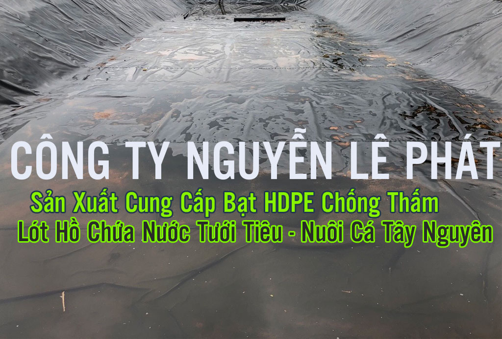 Bạt Lót Hồ Chứa Nước Nuôi Cá Nuôi Lươn Tại Quận 7 Nhà Bè TPHCM Bạt Lót Hồ Chứa Nước Nuôi Cá Nuôi Lươn Tại Quận 7 Nhà Bè TPHCM