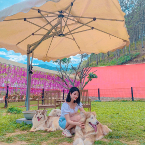 Bán Dù Che Ngoài Trời tại Quận 8 Giá Rẻ