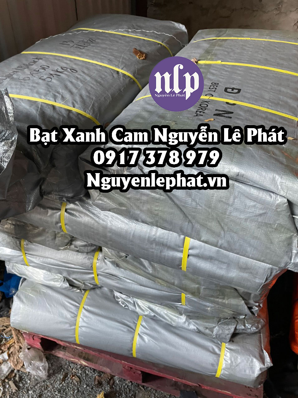 Giá Bạt Xanh Cam Khổ 5 Giá Bạt Xanh Cam Khổ 5
