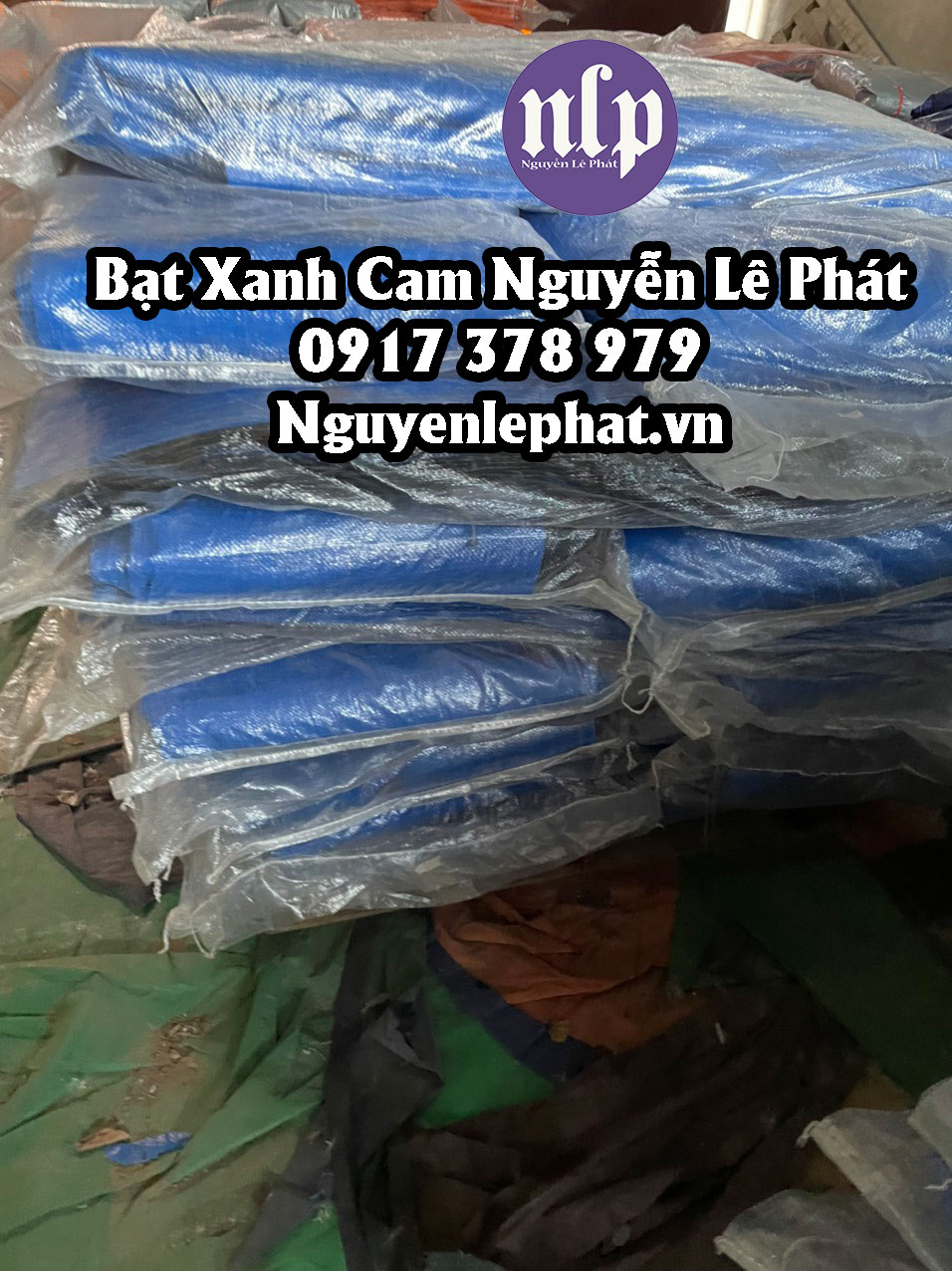 Giá Bạt Xanh Cam Khổ 7 Giá Bạt Xanh Cam Khổ 7