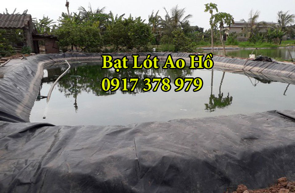 Bạt lót ao hồ chứa nước nuôi cá tại Nhơn Trạch Bạt lót ao hồ chứa nước nuôi cá tại Nhơn Trạch