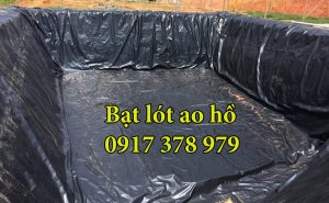 Bạt Lót Hồ Chứa Nước Nuôi Cá Đồng Nai