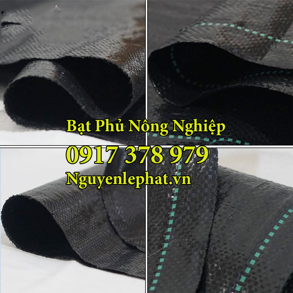 Bạt Phủ Nông Nghiệp, Bạt Phủ Cỏ PE 200G