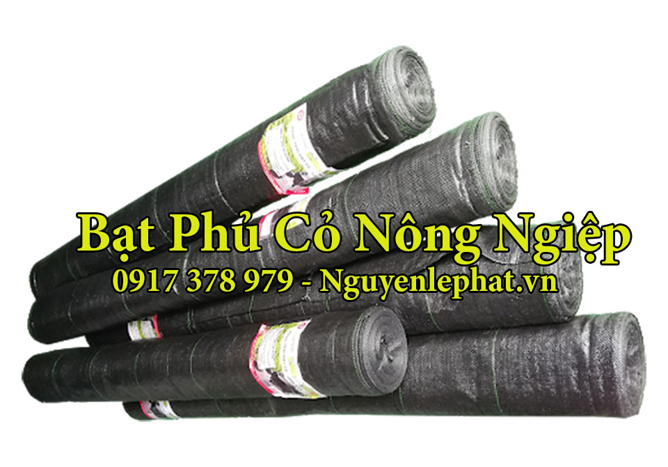 Báo giá Bạt màng phủ nông nghiệp LDPE màu đen khổ lớn