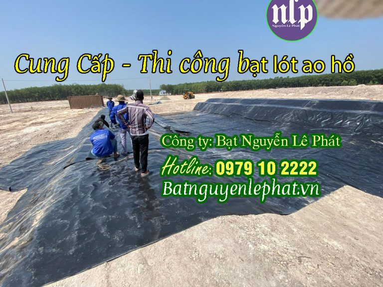 Bạt Lót Ao Hồ Chứa Nước Nuôi Cá Ốc Lươn Hóc Môn