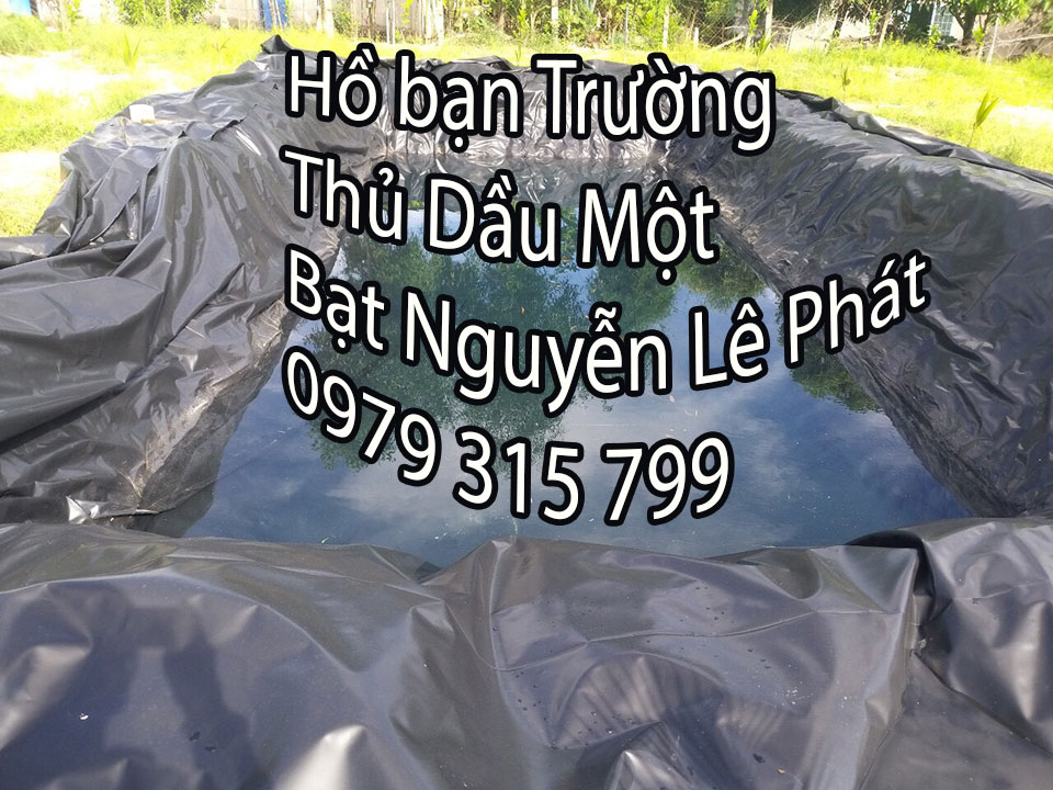 Địa chỉ bán bán chống thấm nước ở tại Biên Hòa Giá Rẻ Địa chỉ bán bán chống thấm nước ở tại Biên Hòa Giá Rẻ