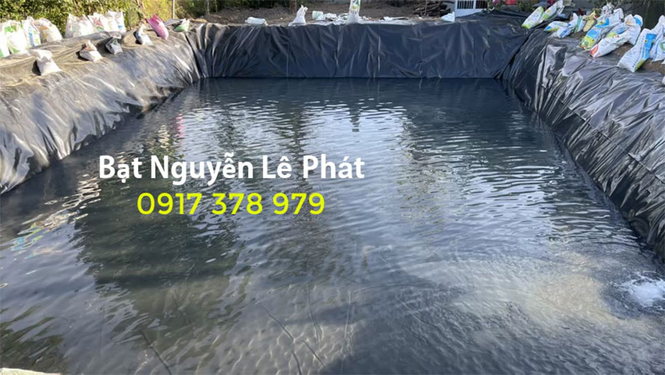 bạt lót ao hồ tại Bình Phước Nguyễn Lê Phát bạt lót ao hồ tại Bình Phước Nguyễn Lê Phát