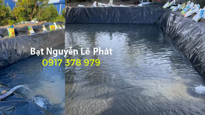 BẠT LÓT AO HỒ CHỨA NƯỚC TẠI BÌNH PHƯỚC BẠT LÓT AO HỒ CHỨA NƯỚC TẠI BÌNH PHƯỚC