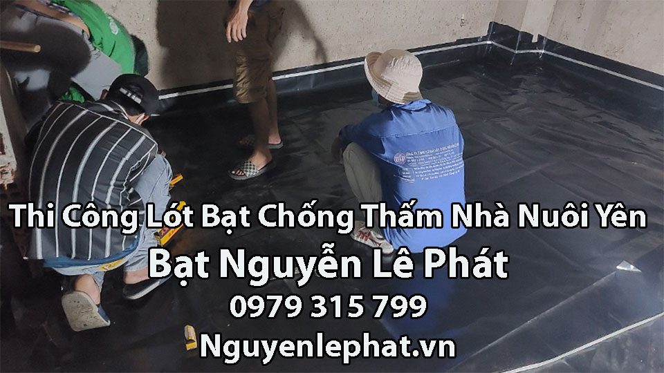 Bạt chống thấm nhà yến