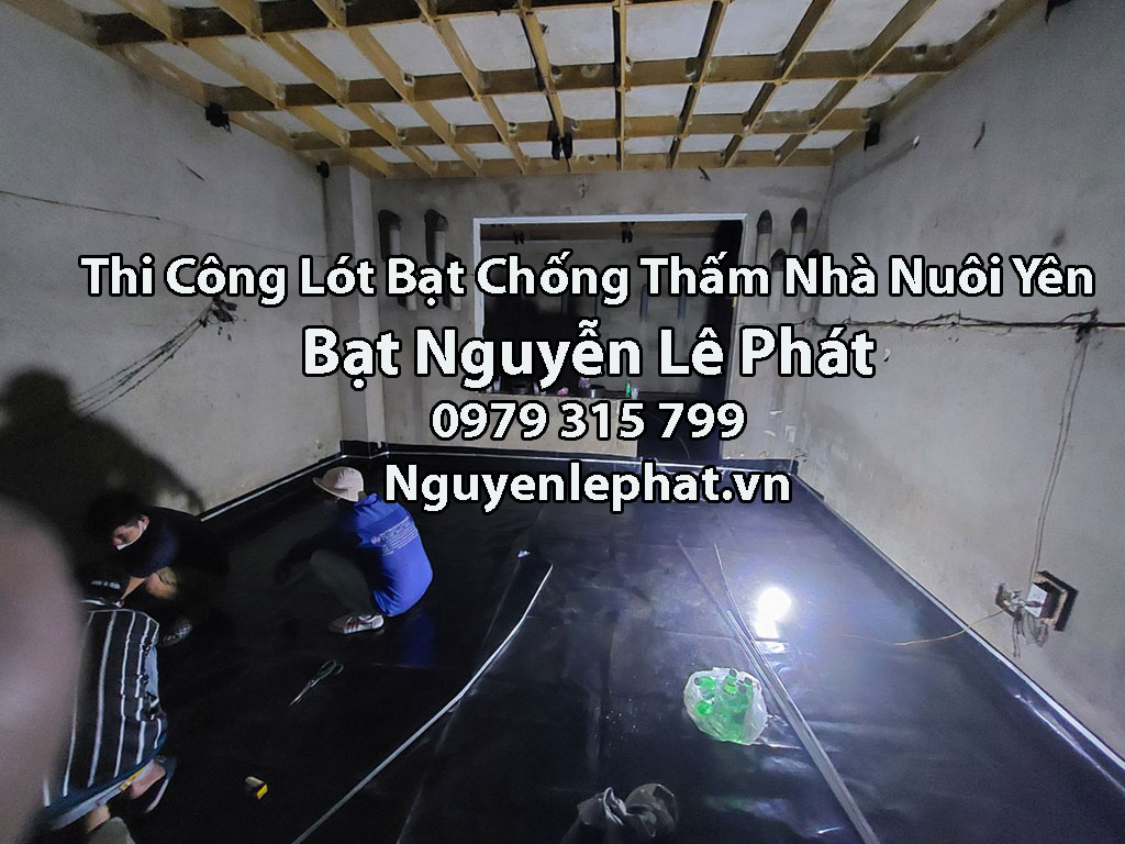 Bạt chống thấm nhà yến