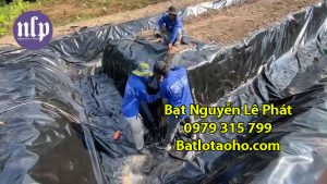 Bạt nhựa HDPE lót hồ cá