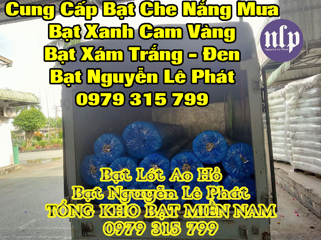 Giá Bạt Xanh Cam Khổ 8