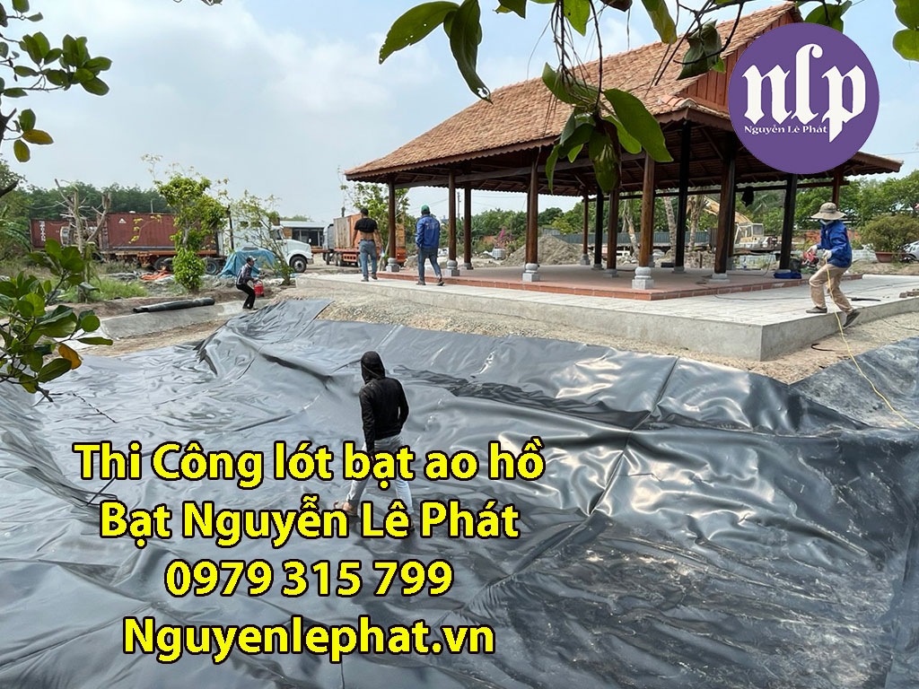 Giá cả thi công hồ cá tại Nguyễn Lê Phát phải chăng