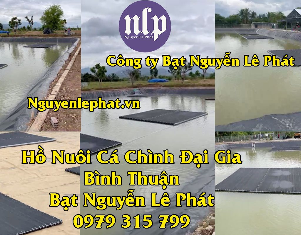 Bạt Lót Ao Hồ Chứa Nước Nuôi Cá Bình Thuận