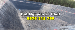 Bạt Nguyễn Lê Phát