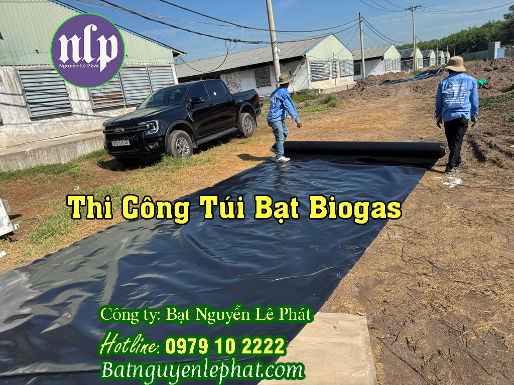 Thi Công Hầm Chứa Khi Biogas Trang Trại Gà Vịt Bình Phước