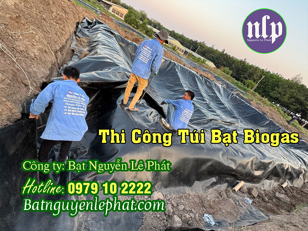 Lắp Đặt Túi Biogas Xử Lý Chất Thải Chăn Nuôi Tại Thái