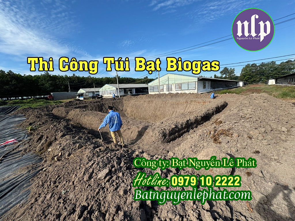 Thi Công Hầm Chứa Khi Biogas Trang Trại Gà Vịt Bình Phước