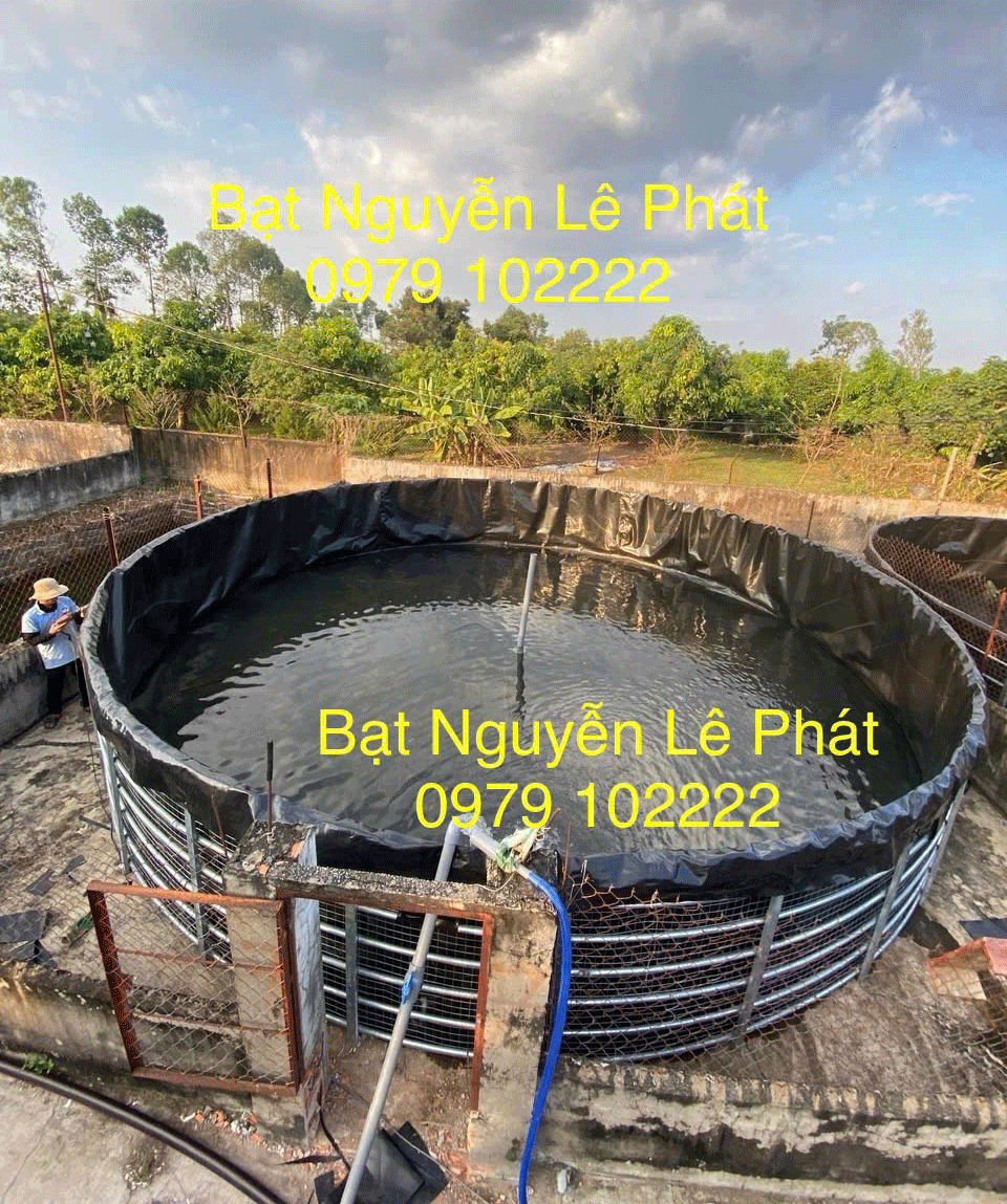 Bể bạt nuôi cá khung sắt Bể bạt nuôi cá khung sắt
