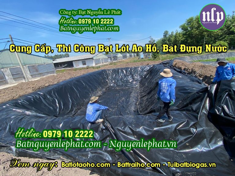 Thi Công Hầm Bigoas Bạt HDPE tại Đắk Lắk